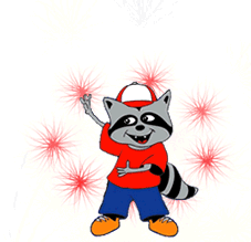 celebration raccoon